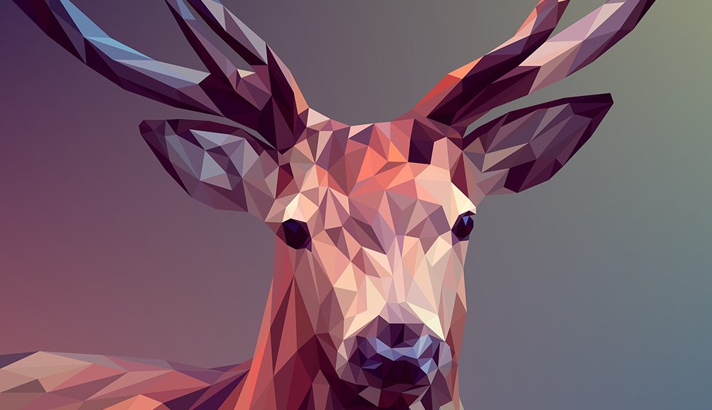 Graphic Designing